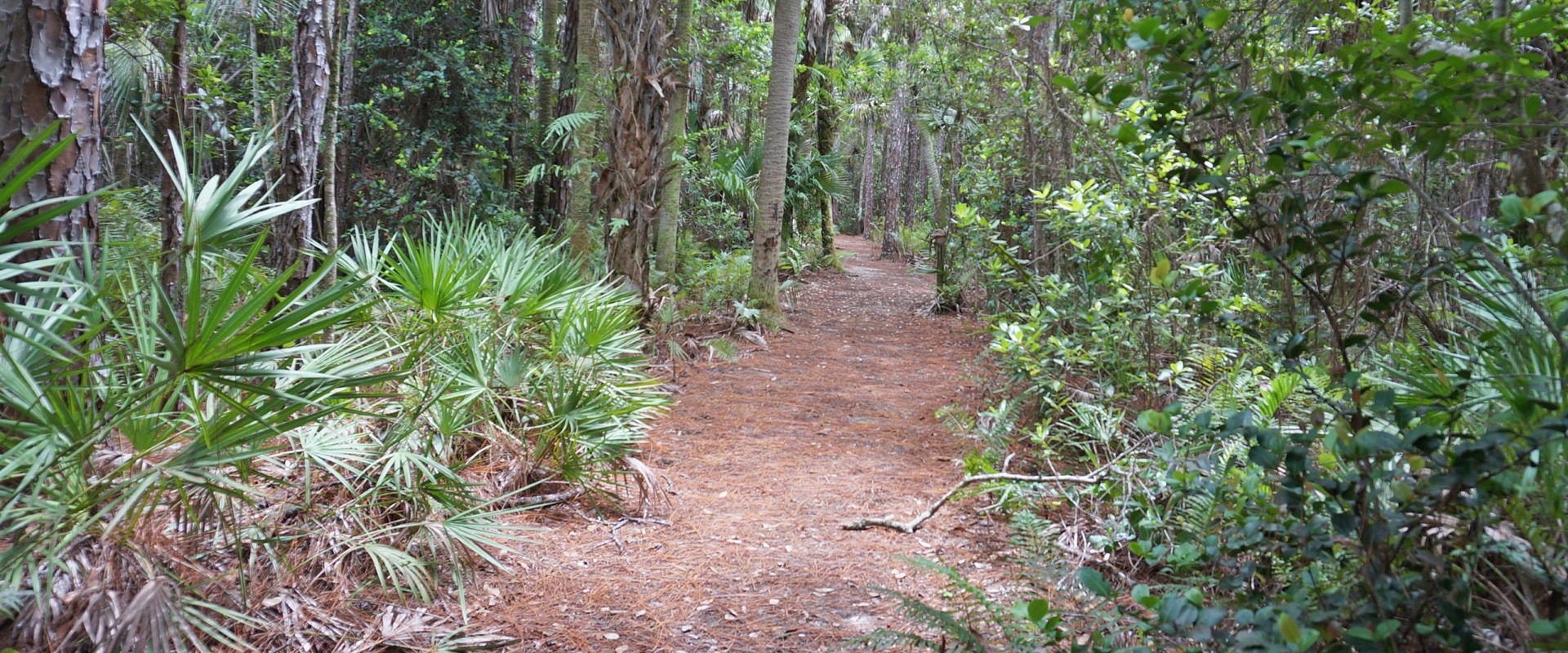 Exploring the Trails of Palm Beach County, Florida