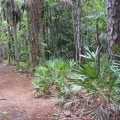 Exploring the Trails of Palm Beach County, Florida