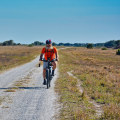 Exploring the Enchanting Bike Lanes of Palm Beach County, Florida