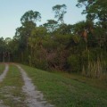 Exploring the Magnificent Bike Trails of Palm Beach County, Florida