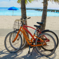 Exploring the Beauty of Palm Beach County, Florida by Bicycle