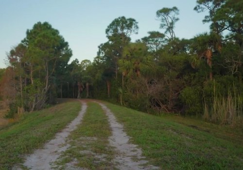 Exploring the Magnificent Bike Trails of Palm Beach County, Florida